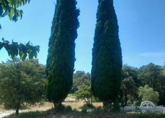 Летний дом L Des Garrigues Caveirac